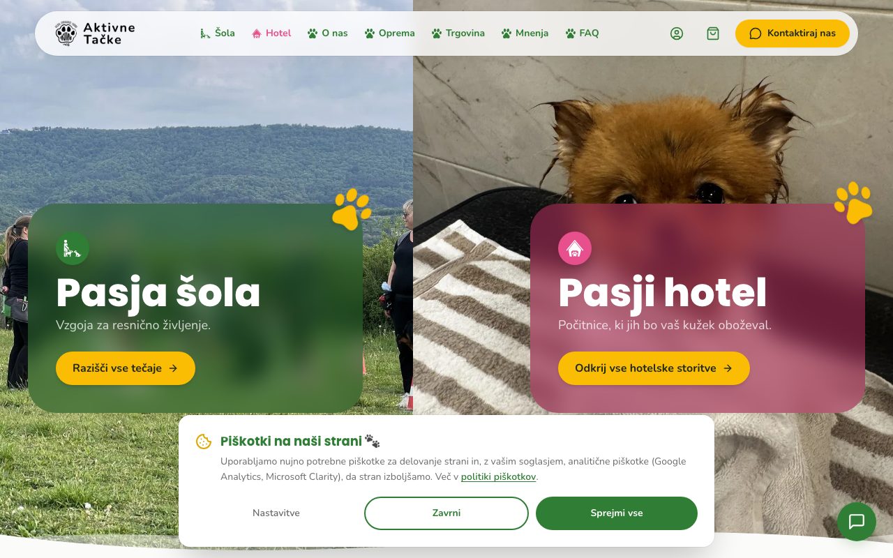 Página web de Aktivne Tačke