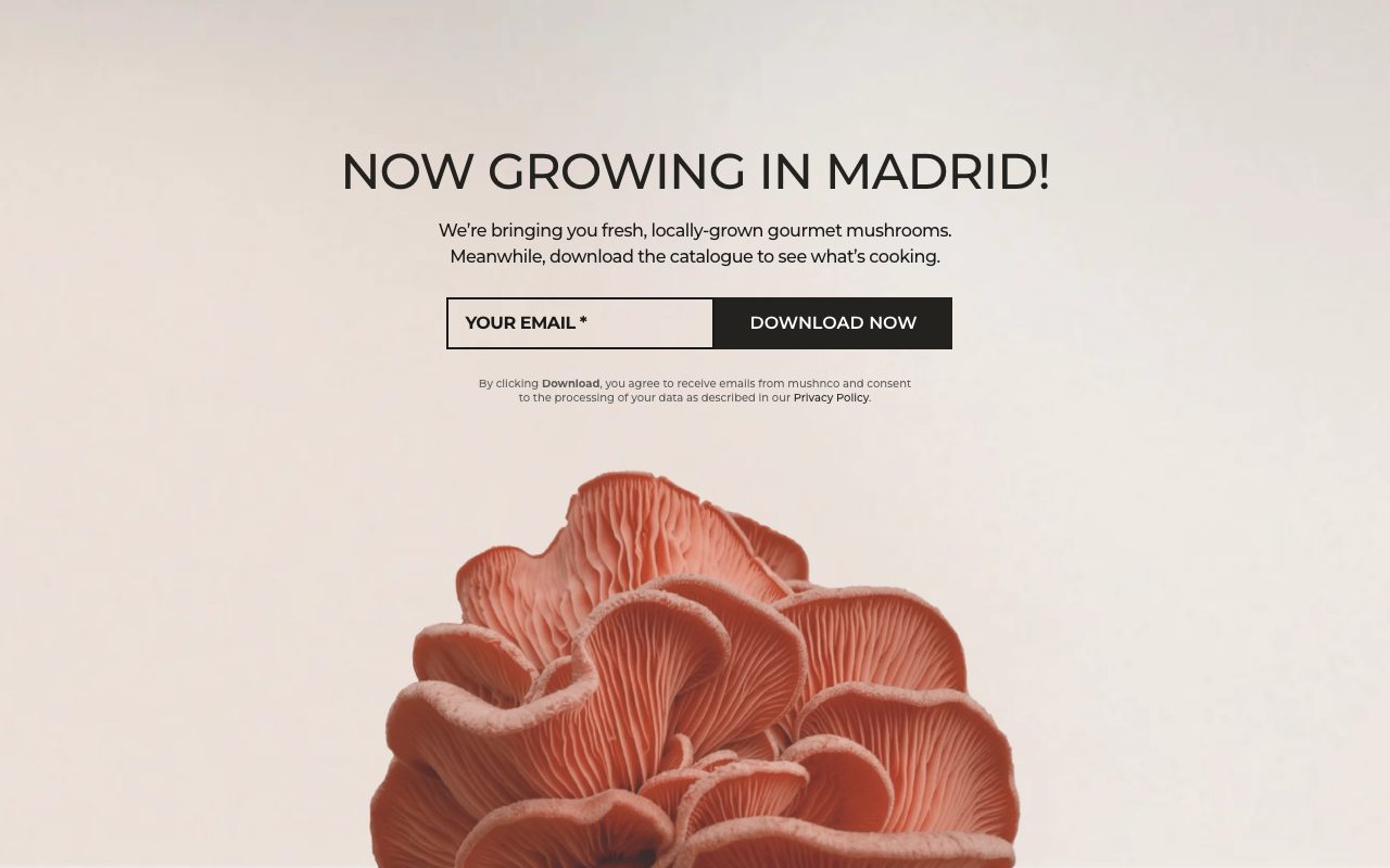 Página web de Mushnco