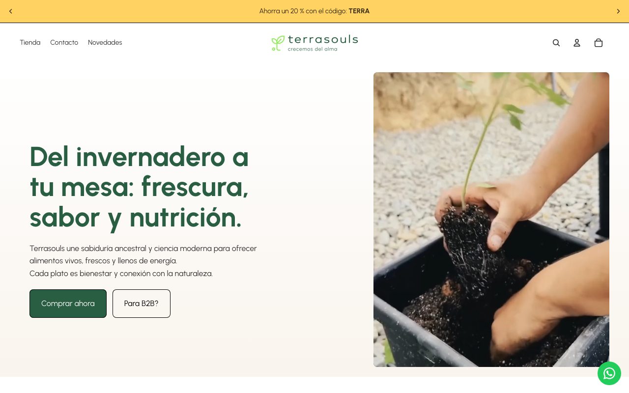 Página web de Terrasouls